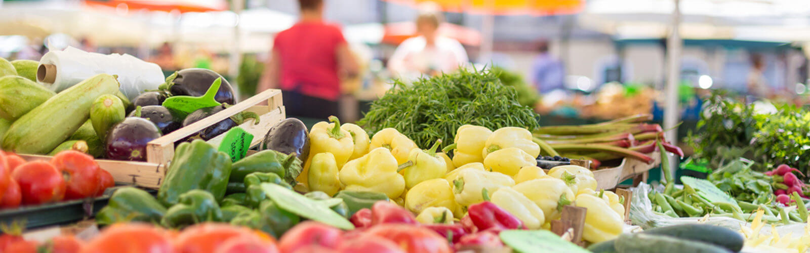 Farmer Markets We Love